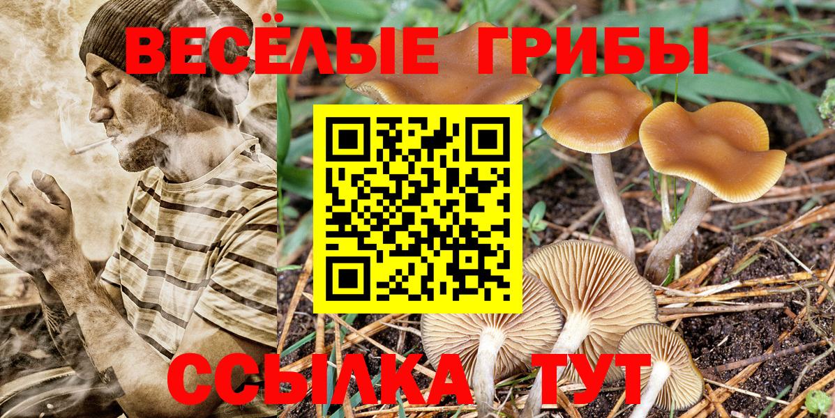Псилоцибиновые грибы ЛСД  Вход с VPN  Курчатов 